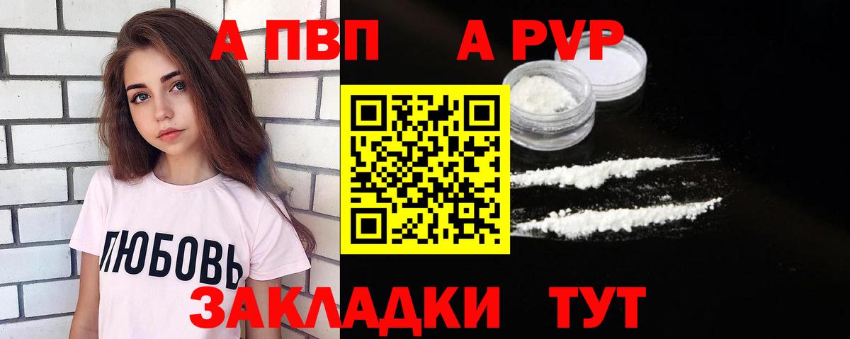 A PVP СК КРИС Волгоград