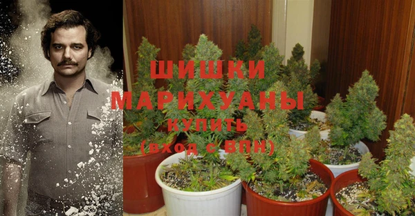 apvp Заволжье