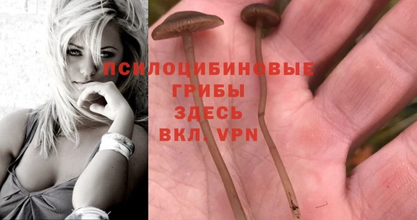 apvp Заволжье