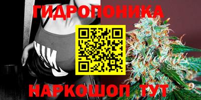 гашик Волжск