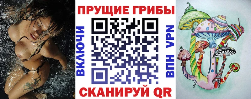 Галлюциногенные грибы Psilocybe  дарк нет официальный сайт  Волгоград 