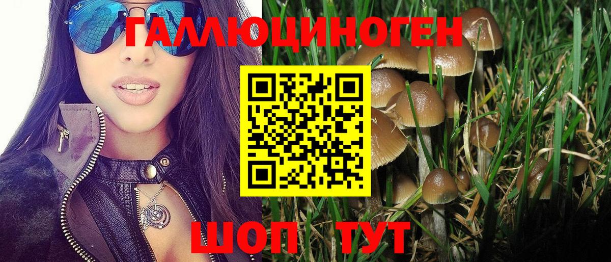 Галлюциногенные грибы GOLDEN TEACHER  Волгоград 